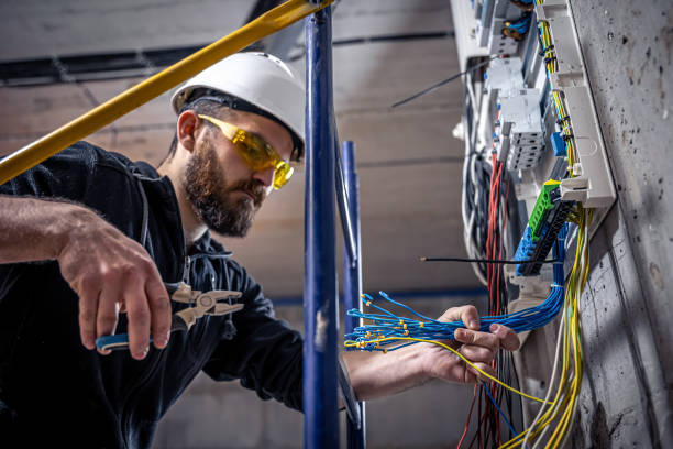 Best Local Electrician Companies  in Hamlin, WV